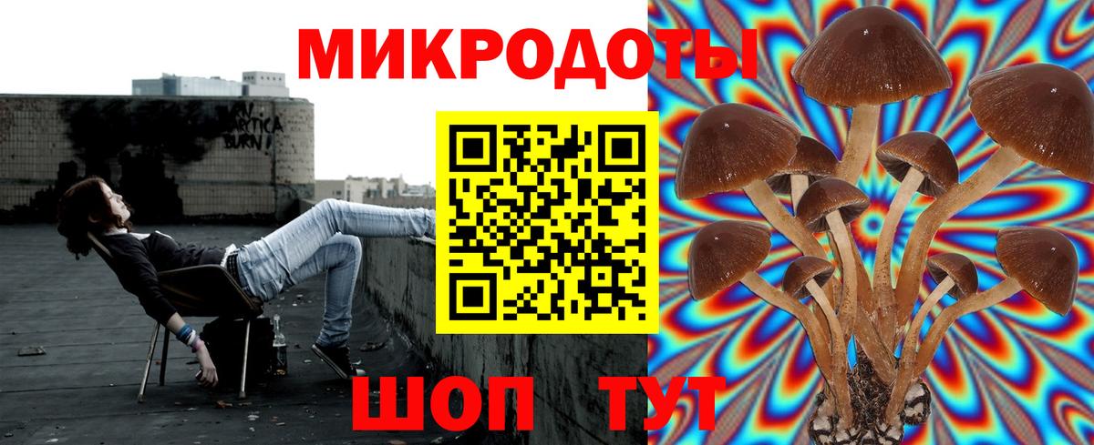 Псилоцибиновые грибы прущие грибы  Вход с VPN  Псилоцибиновые грибы Psilocybine cubensis  Кстово 